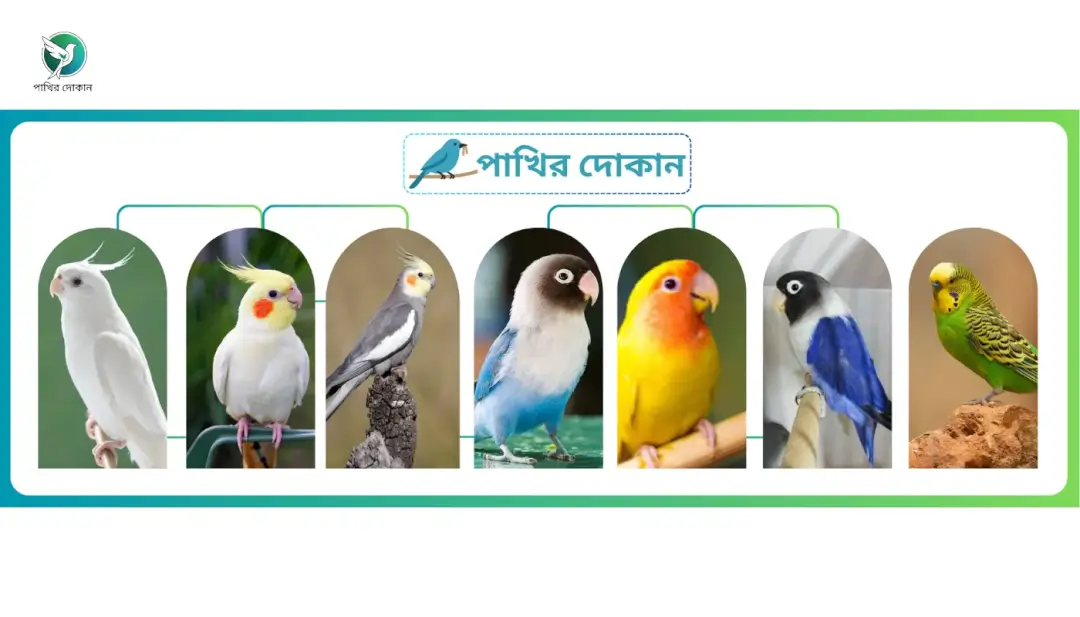 Home 1 Pakhir Dokan Cover